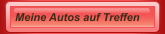 Meine Autos auf Treffen