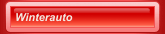 Winterauto